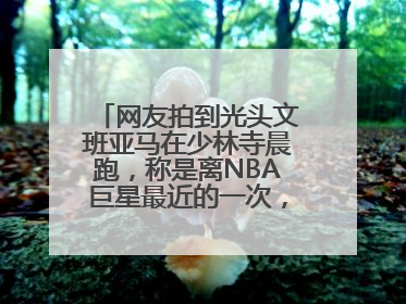 网友拍到光头文班亚马在少林寺晨跑，称是离NBA巨星最近的一次，景区回应