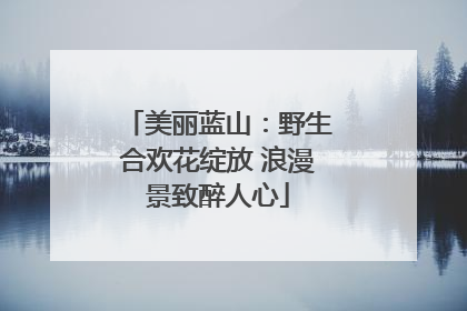 美丽蓝山：野生合欢花绽放 浪漫景致醉人心