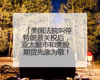 美国法院叫停特朗普关税后，亚太股市和美股期货先涨为敬！“TACO交易”兴起