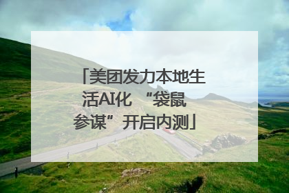 美团发力本地生活AI化 “袋鼠参谋”开启内测