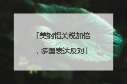 美钢铝关税加倍，多国表达反对