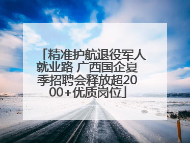 精准护航退役军人就业路 广西国企夏季招聘会释放超2000+优质岗位