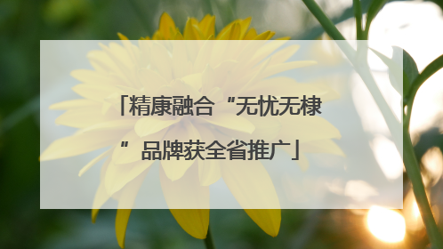 精康融合“无忧无棣”品牌获全省推广
