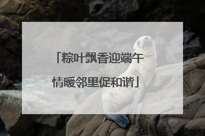 粽叶飘香迎端午 情暖邻里促和谐