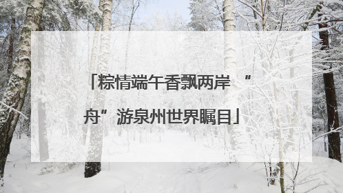 粽情端午香飘两岸 “舟”游泉州世界瞩目