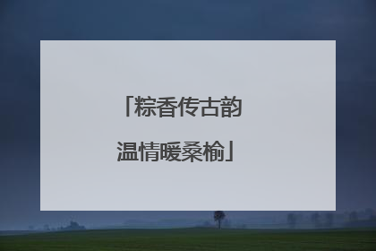 粽香传古韵 温情暖桑榆