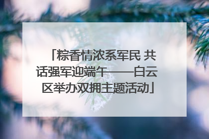 粽香情浓系军民 共话强军迎端午——白云区举办双拥主题活动