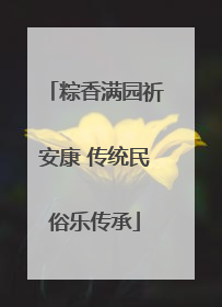 粽香满园祈安康 传统民俗乐传承