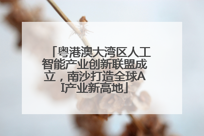 粤港澳大湾区人工智能产业创新联盟成立，南沙打造全球AI产业新高地