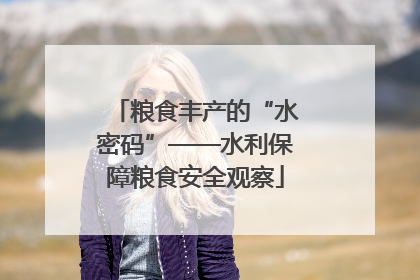 粮食丰产的“水密码”——水利保障粮食安全观察