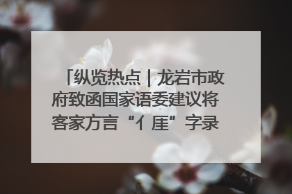 纵览热点｜龙岩市政府致函国家语委建议将客家方言“亻厓”字录入《新华字典》引发热议，当地回应