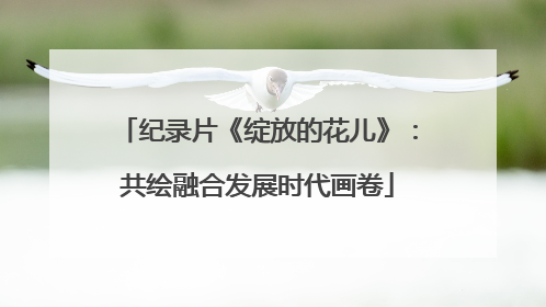 纪录片《绽放的花儿》：共绘融合发展时代画卷