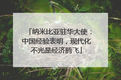 纳米比亚驻华大使：中国经验表明，现代化不光是经济腾飞