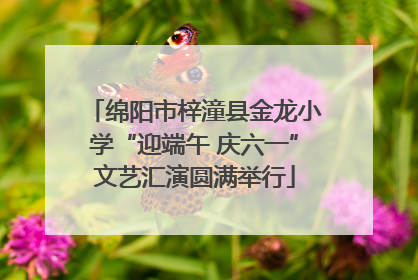 绵阳市梓潼县金龙小学“迎端午 庆六一”文艺汇演圆满举行