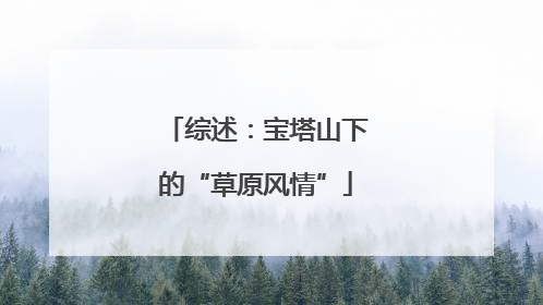 综述：宝塔山下的“草原风情”