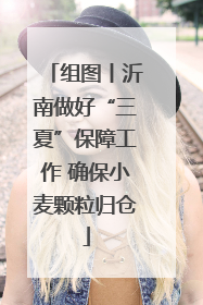 组图丨沂南做好“三夏”保障工作 确保小麦颗粒归仓