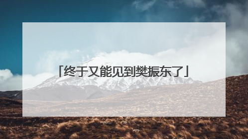 终于又能见到樊振东了