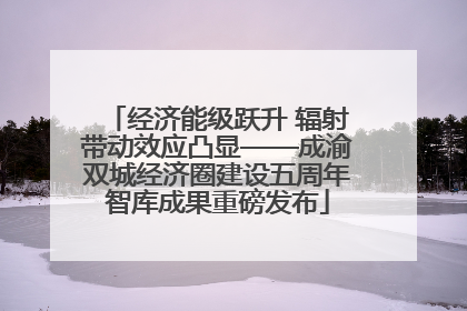 经济能级跃升 辐射带动效应凸显——成渝双城经济圈建设五周年智库成果重磅发布
