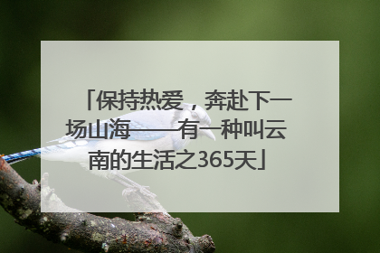 保持热爱，奔赴下一场山海——有一种叫云南的生活之365天