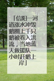 信阳一河道涨水冲毁鹅圈上千只鹅被卷入洪流，当地蓝天救援队一小时赶鹅上岸
