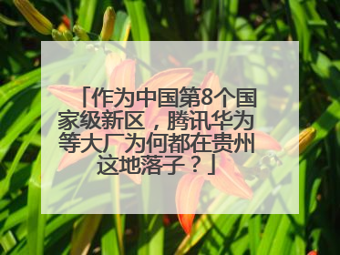 作为中国第8个国家级新区，腾讯华为等大厂为何都在贵州这地落子？