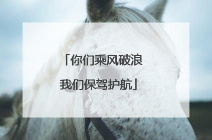 你们乘风破浪 我们保驾护航