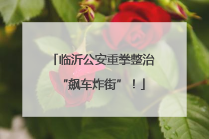 临沂公安重拳整治“飙车炸街”！