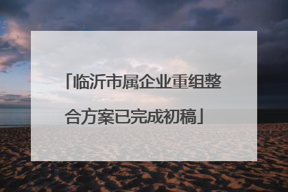 临沂市属企业重组整合方案已完成初稿