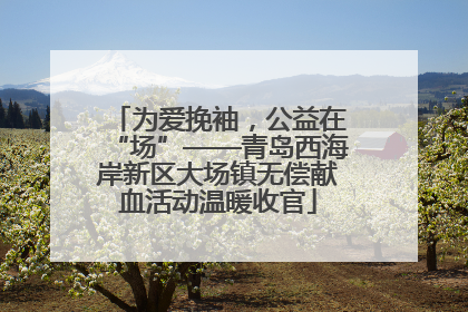 为爱挽袖，公益在“场”——青岛西海岸新区大场镇无偿献血活动温暖收官