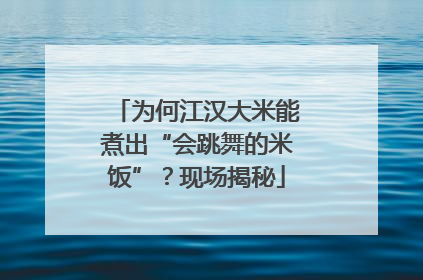 为何江汉大米能煮出“会跳舞的米饭”？现场揭秘
