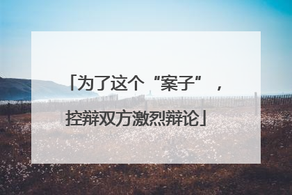 为了这个“案子”，控辩双方激烈辩论