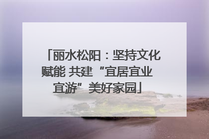 丽水松阳：坚持文化赋能 共建“宜居宜业宜游”美好家园