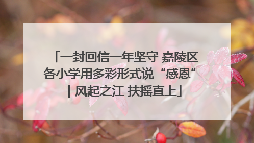 一封回信一年坚守 嘉陵区各小学用多彩形式说“感恩”｜风起之江 扶摇直上