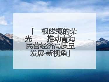 一根线缆的荣光——推动青海民营经济高质量发展·新视角