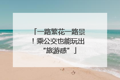 一路繁花一路景！乘公交也能玩出“旅游感”