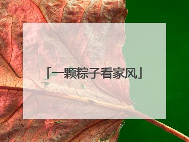 一颗粽子看家风