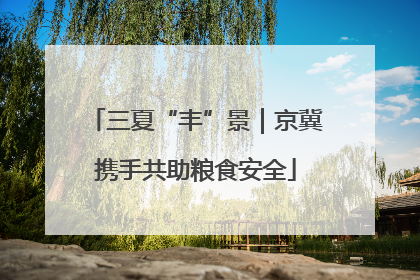 三夏“丰”景｜京冀携手共助粮食安全