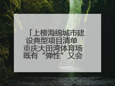 上榜海绵城市建设典型项目清单 重庆大田湾体育场既有“弹性”又会“呼吸”
