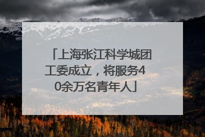 上海张江科学城团工委成立，将服务40余万名青年人