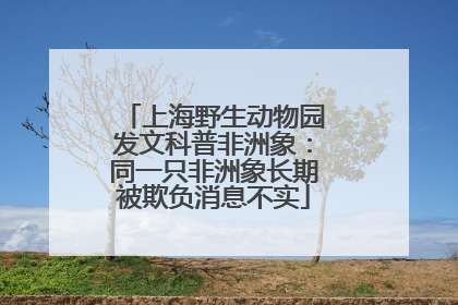 上海野生动物园发文科普非洲象：同一只非洲象长期被欺负消息不实