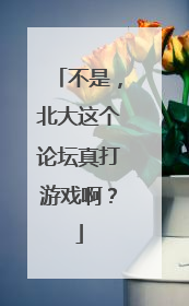 不是，北大这个论坛真打游戏啊？