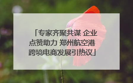 专家齐聚共谋 企业点赞助力 郑州航空港跨境电商发展引热议