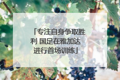 专注自身争取胜利 国足在雅加达进行首场训练