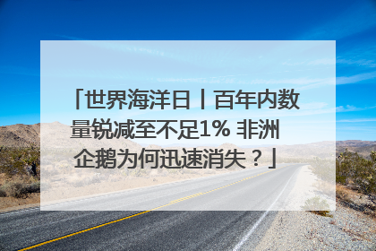 世界海洋日丨百年内数量锐减至不足1% 非洲企鹅为何迅速消失？