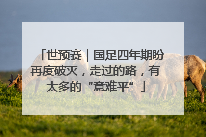 世预赛｜国足四年期盼再度破灭，走过的路，有太多的“意难平”