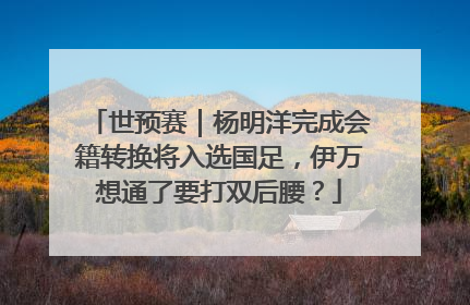 世预赛｜杨明洋完成会籍转换将入选国足，伊万想通了要打双后腰？
