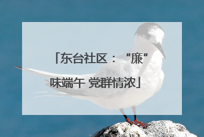 东台社区：“廉”味端午 党群情浓
