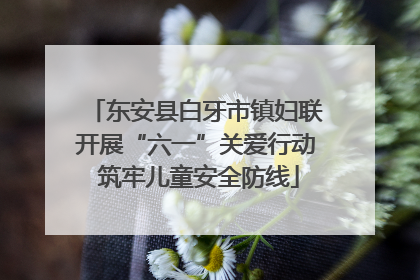 东安县白牙市镇妇联开展“六一”关爱行动 筑牢儿童安全防线