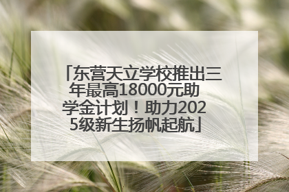 东营天立学校推出三年最高18000元助学金计划！助力2025级新生扬帆起航