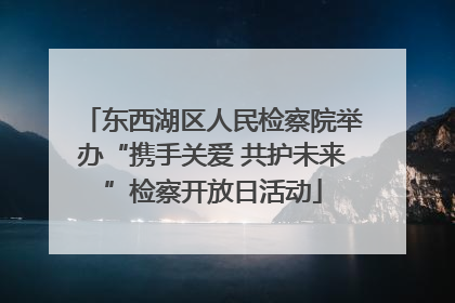 东西湖区人民检察院举办“携手关爱 共护未来”检察开放日活动